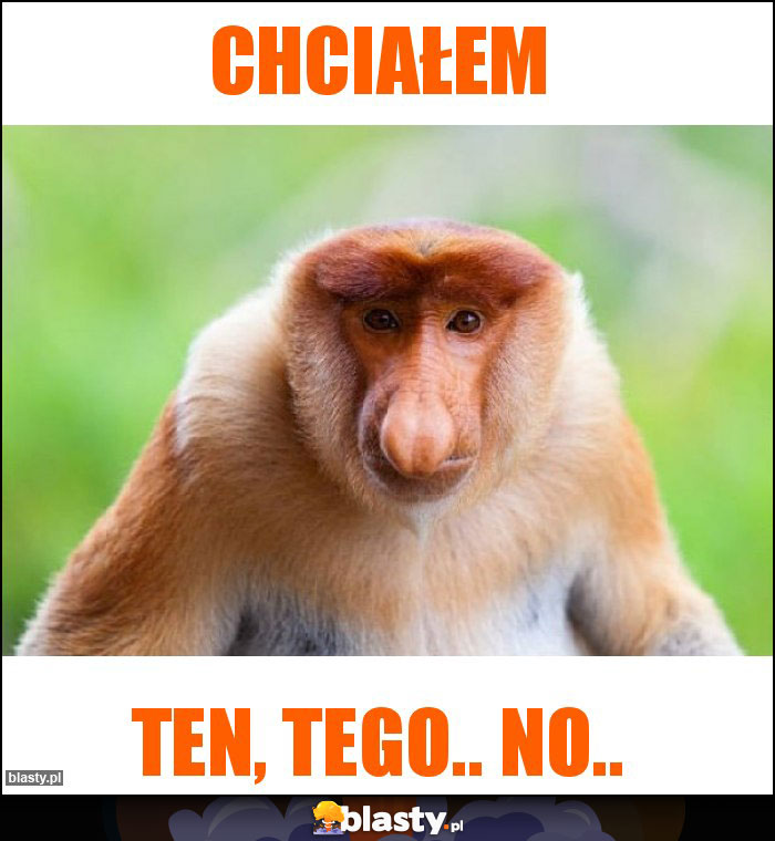 Chciałem