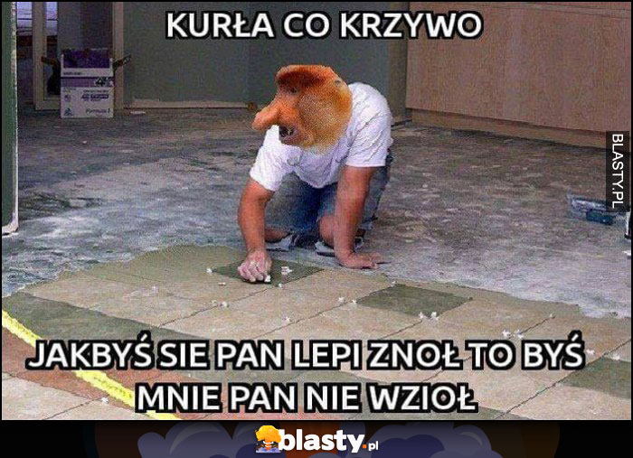 Co krzywo, jakbyś się pan lepiej znał to byś mnie pan nie wziął Polak nosacz małpa robotnik