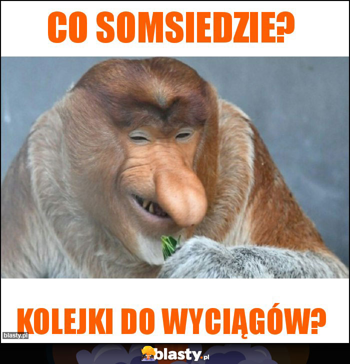 Co somsiedzie? Co somsiedzie?