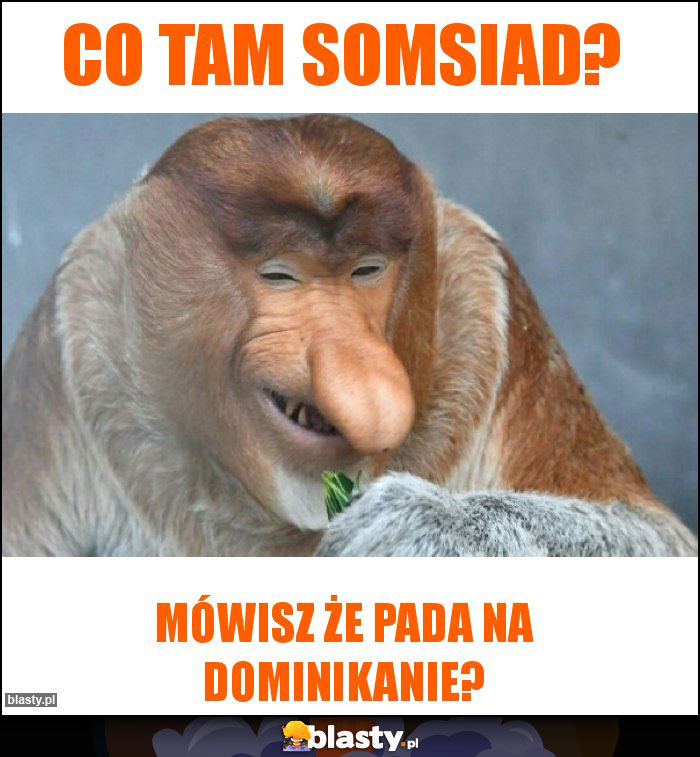 Co tam somsiad? Co tam somsiad?