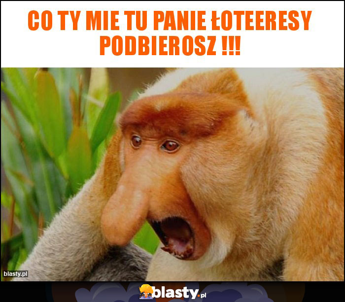 CO TY MIE TU PANIE ŁOTEERESY PODBIEROSZ !!! CO TY MIE TU PANIE ŁOTEERESY PODBIEROSZ !!!