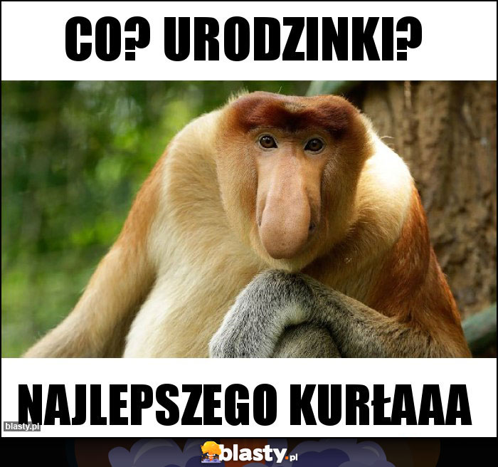 Co? Urodzinki? Co? Urodzinki?