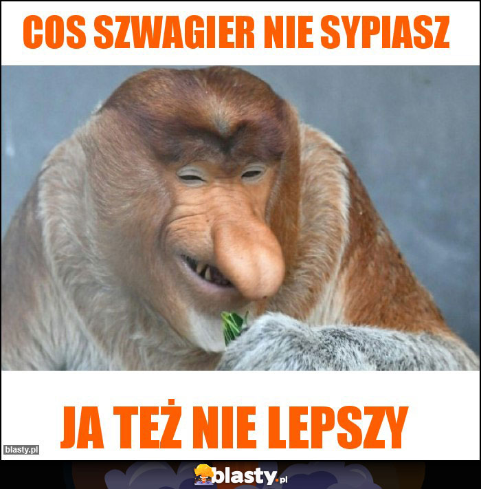 Cos szwagier nie sypiasz Cos szwagier nie sypiasz