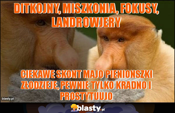 ditkojny, miszkonia, fokusy, landrowjery ditkojny, miszkonia, fokusy, landrowjery