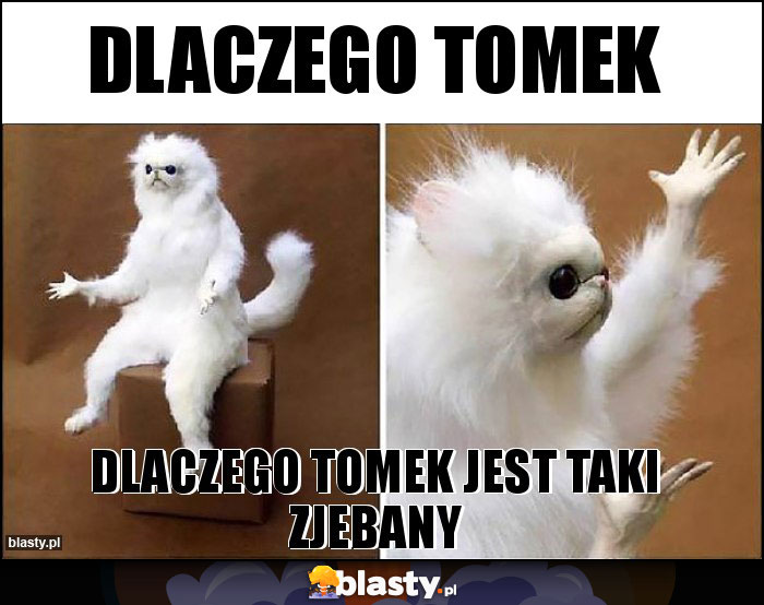 dlaczego Tomek dlaczego Tomek