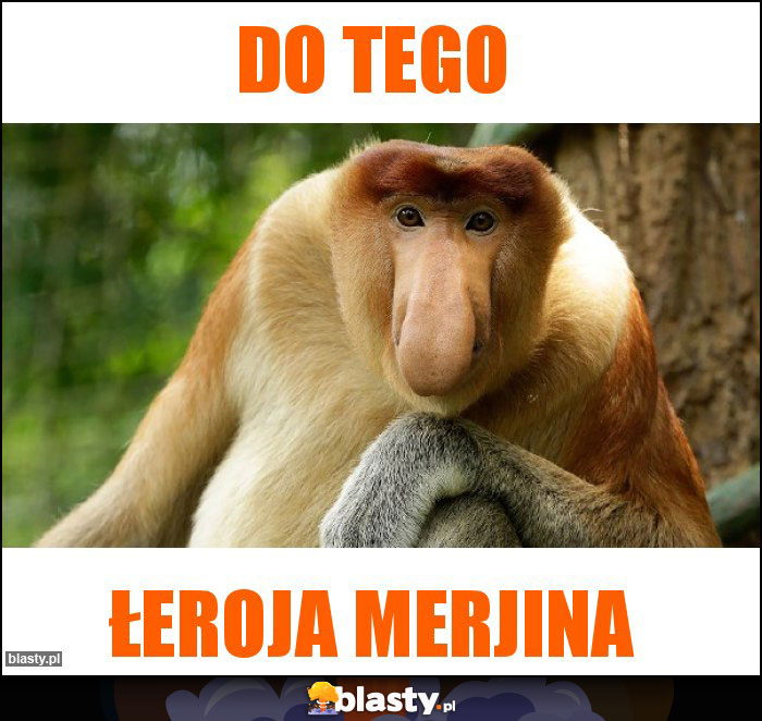 Do tego