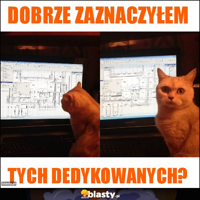 Dobrze zaznaczyłem