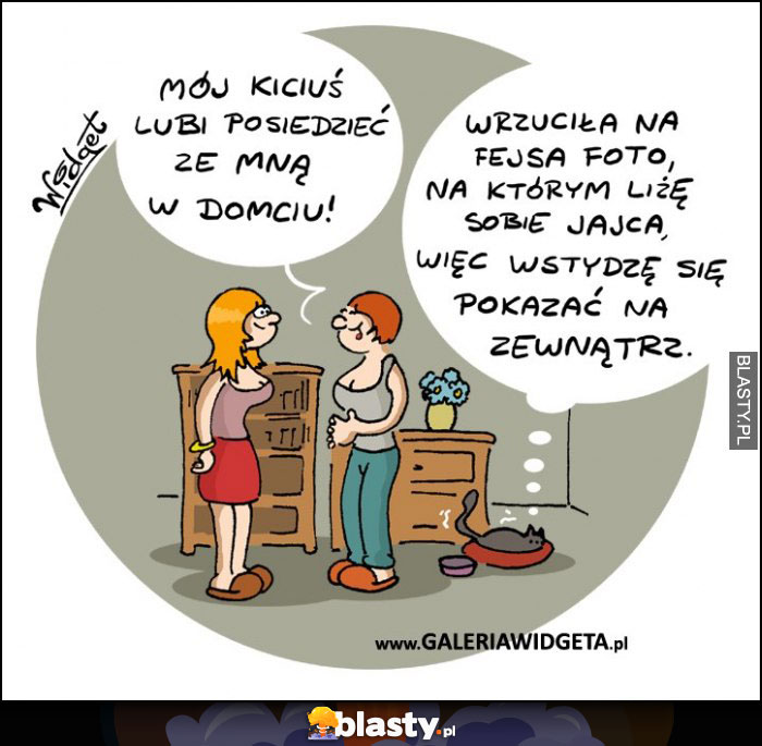 Dzień Kota Dzień Kota