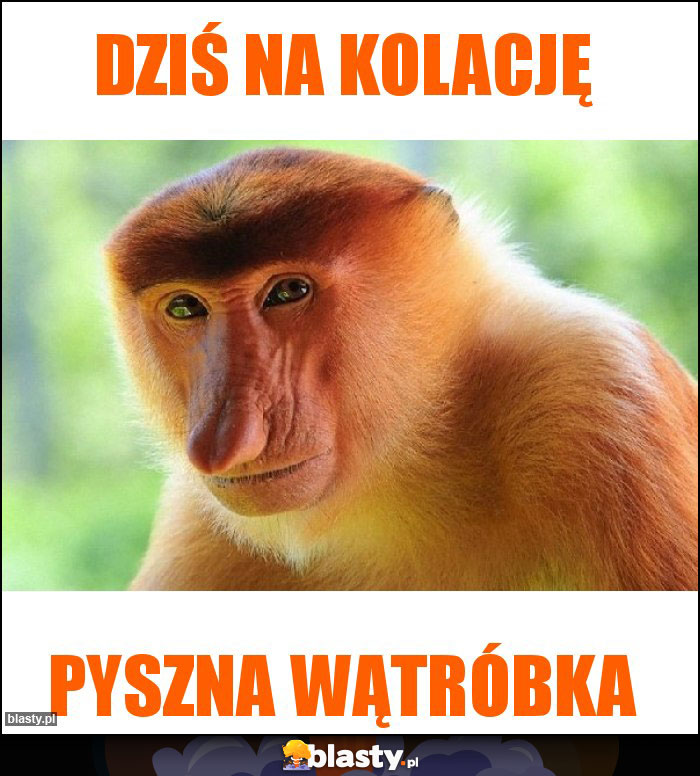 Dziś na kolację Dziś na kolację