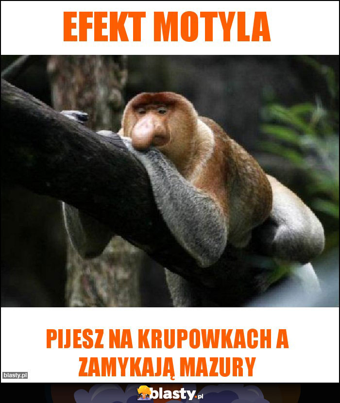 Efekt motyla Efekt motyla
