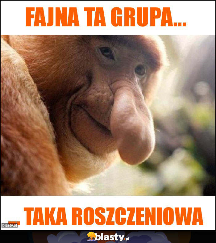 Fajna ta grupa... Fajna ta grupa...