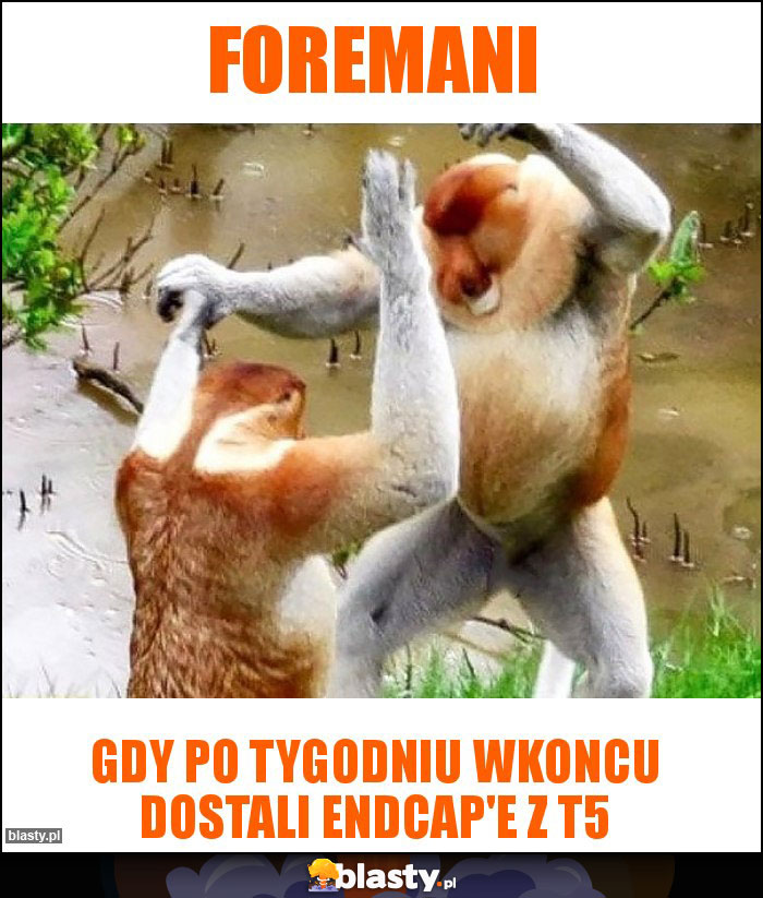 Foremani