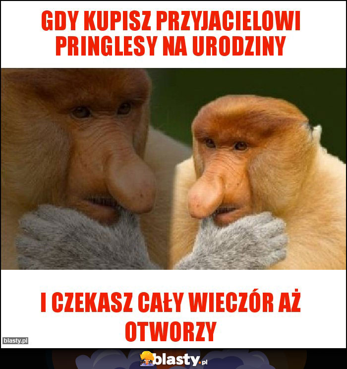 gdy kupisz przyjacielowi pringlesy na urodziny gdy kupisz przyjacielowi pringlesy na urodziny