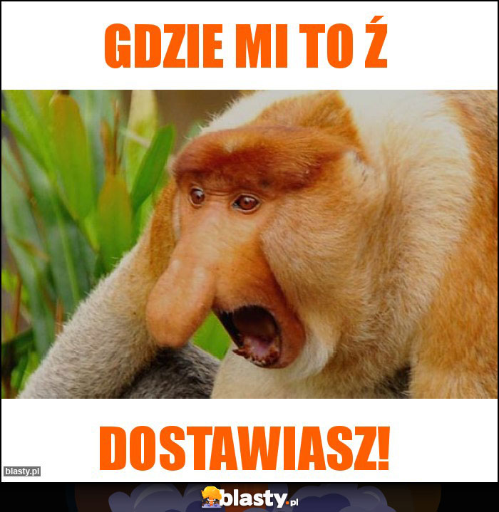 Gdzie mi to ź Gdzie mi to ź