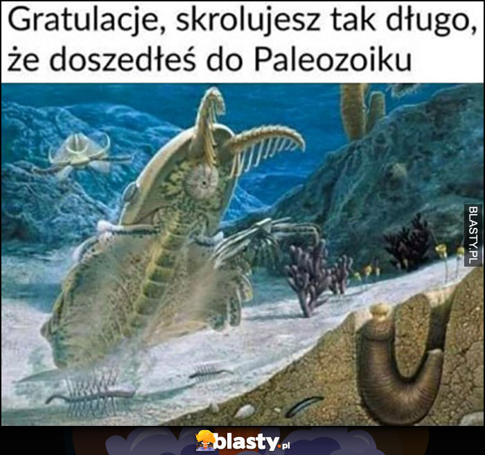 Gratulacje, skrolujesz tak długo, że doszedłeś do paleozoiku