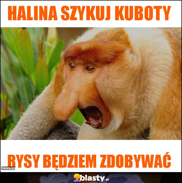 halina szykuj kuboty halina szykuj kuboty