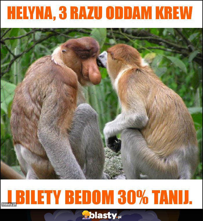 Helyna, 3 razu oddam krew Helyna, 3 razu oddam krew