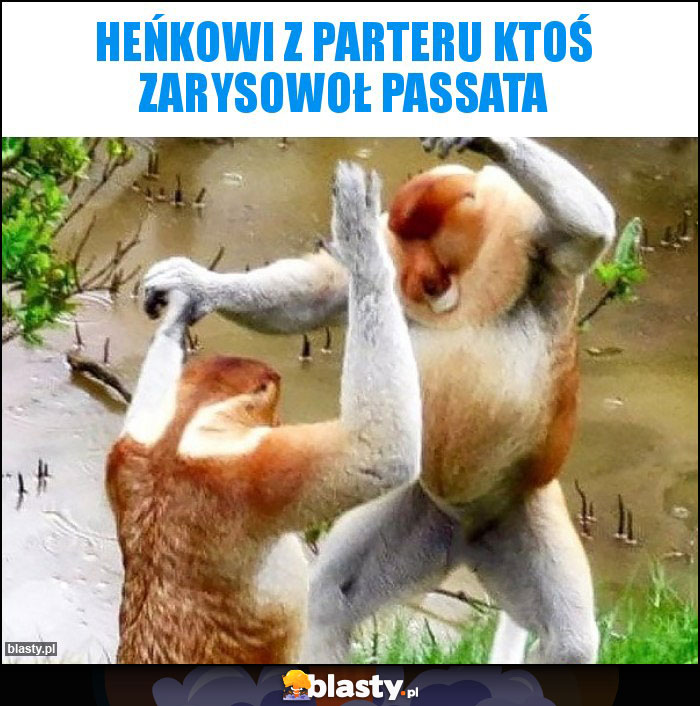 Heńkowi z parteru ktoś zarysowoł passata Heńkowi z parteru ktoś zarysowoł passata