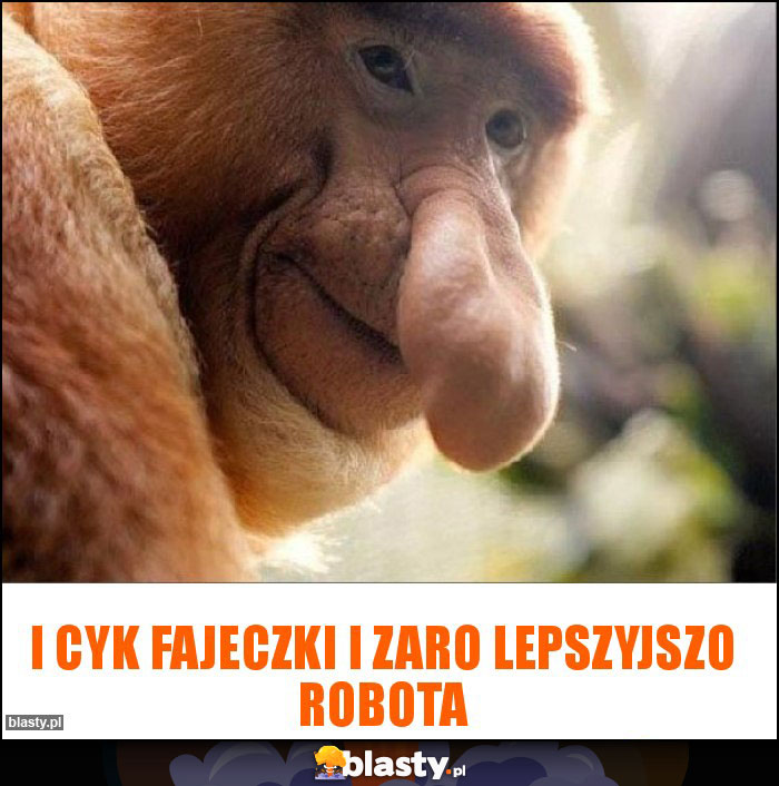 I CYK FAJECZKI I ZARO LEPSZYJSZO ROBOTA