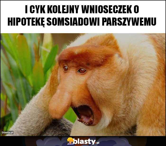 I CYK KOLEJNY WNIOSECZEK O HIPOTEKĘ SOMSIADOWI PARSZYWEMU I CYK KOLEJNY WNIOSECZEK O HIPOTEKĘ SOMSIADOWI PARSZYWEMU