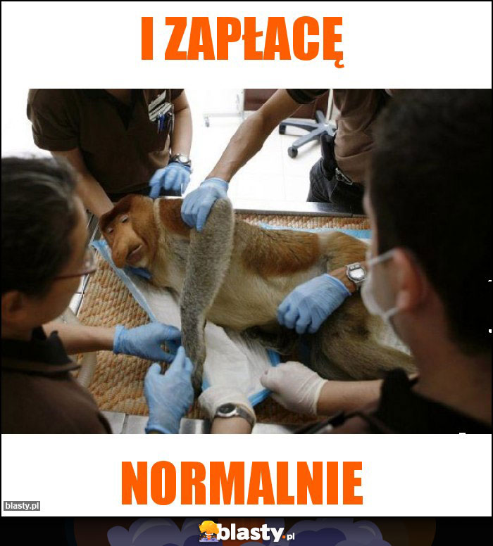 I zapłacę
