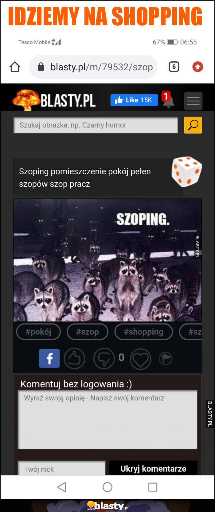 Idziemy na shopping Idziemy na shopping