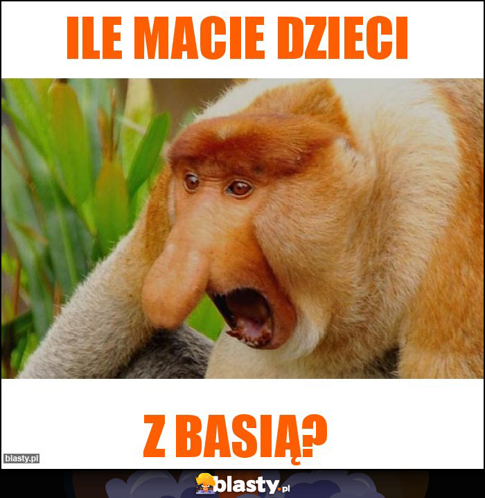 Ile macie dzieci Ile macie dzieci