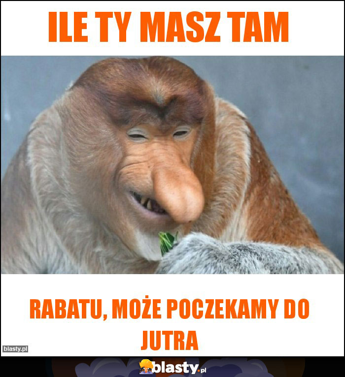 Ile ty masz tam Ile ty masz tam