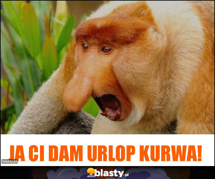 ja ci dam urlop kurwa! ja ci dam urlop kurwa!