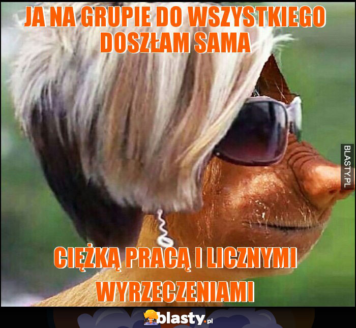 JA NA GRUPIE DO WSZYSTKIEGO DOSZŁAM SAMA JA NA GRUPIE DO WSZYSTKIEGO DOSZŁAM SAMA