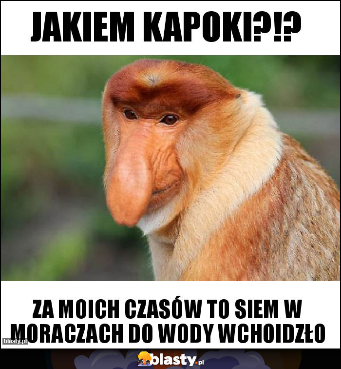 Jakiem Kapoki?!? Jakiem Kapoki?!?