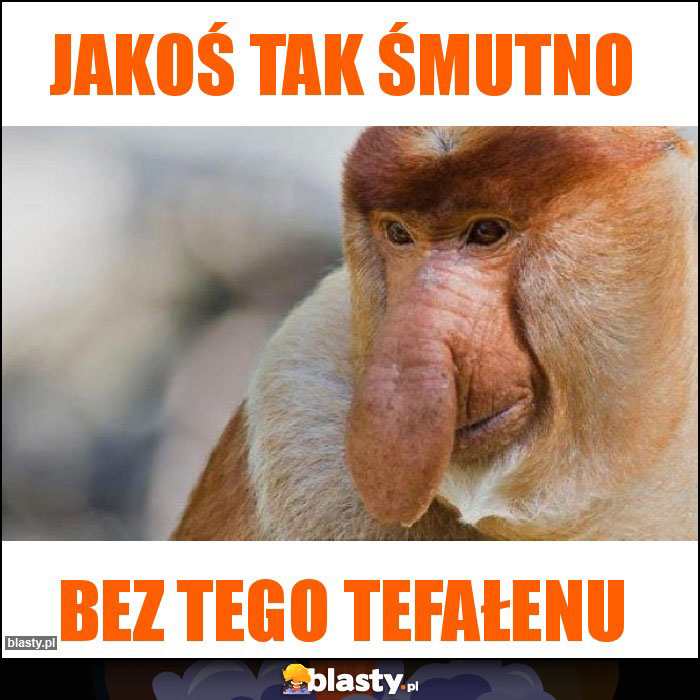 jakoś tak śmutno jakoś tak śmutno