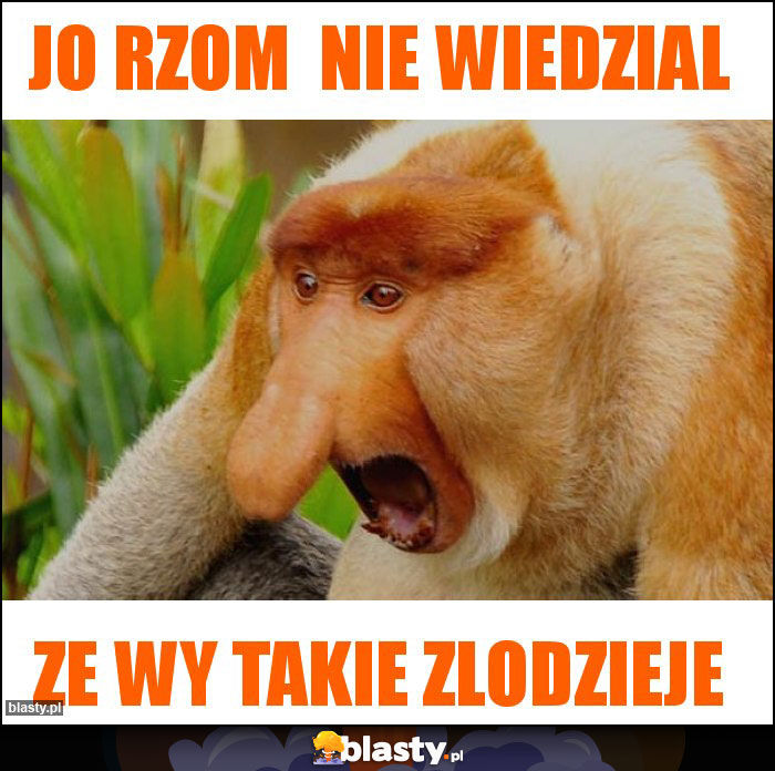Jo rzom  nie wiedzial