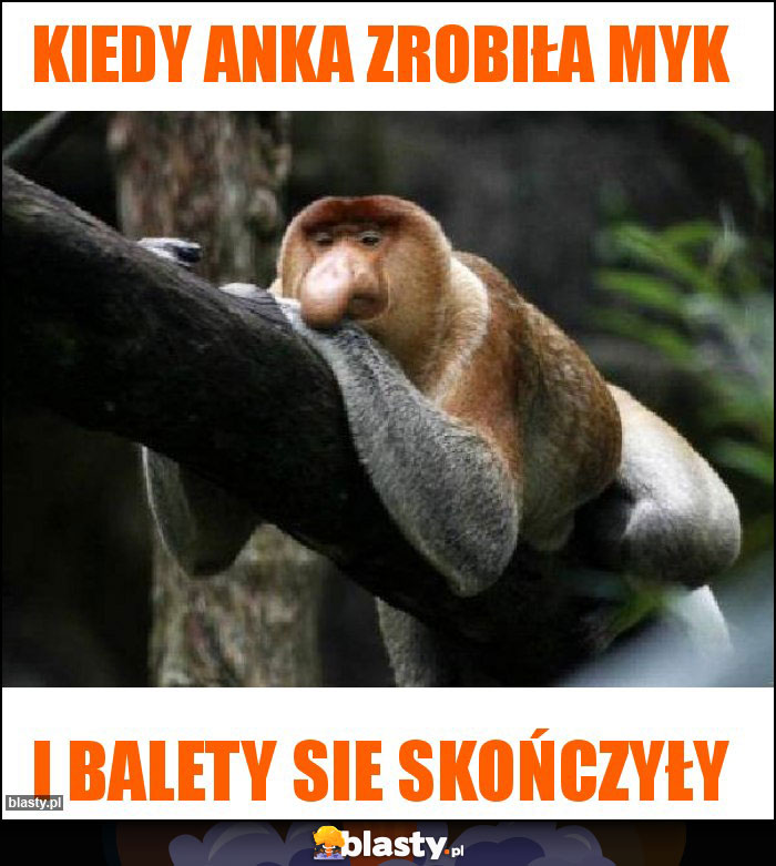 Kiedy Anka zrobiła myk Kiedy Anka zrobiła myk