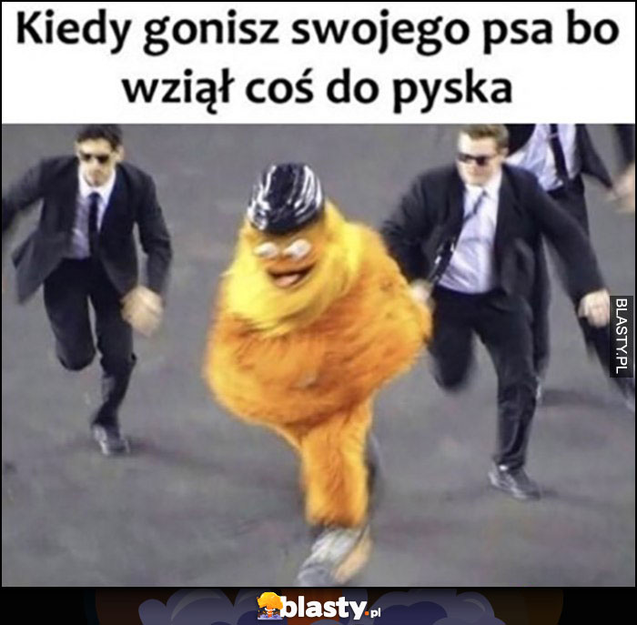 Kiedy gonisz swojego psa bo wziął coś do pyska