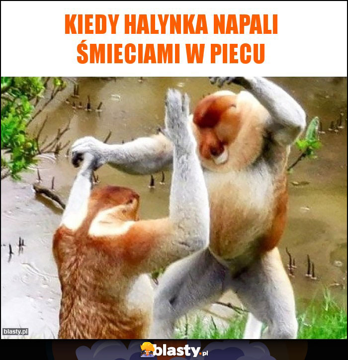 Kiedy Halynka napali śmieciami w piecu Kiedy Halynka napali śmieciami w piecu