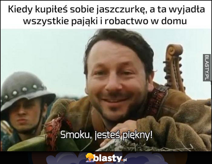 Kiedy kupiłeś sobie jaszczurkę, a ta wyjadła wszystkie pająki i robactwo w domu, smoku jesteś piękny