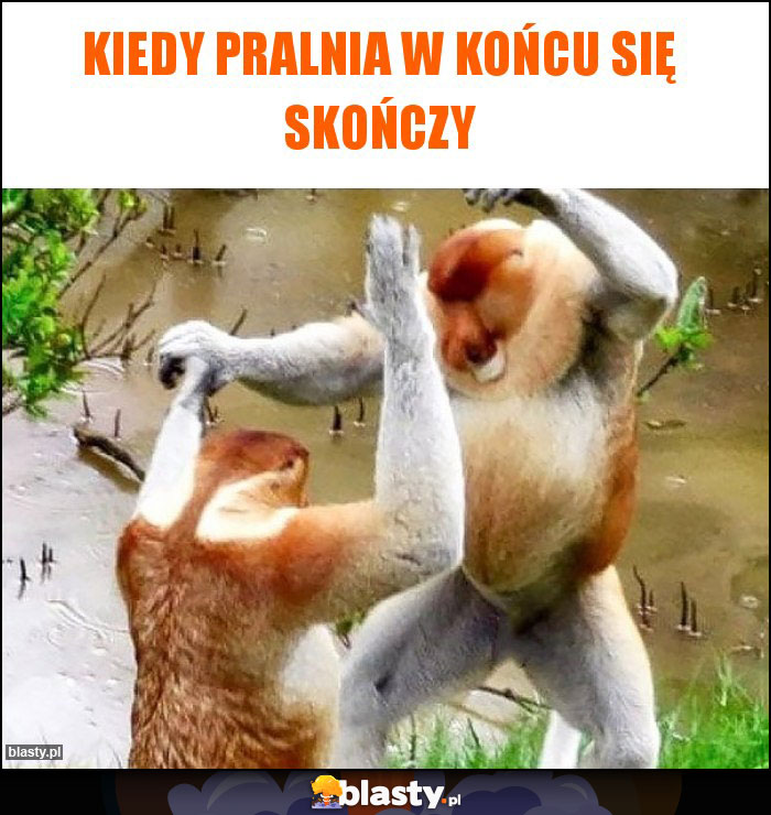 Kiedy pralnia w końcu się skończy Kiedy pralnia w końcu się skończy