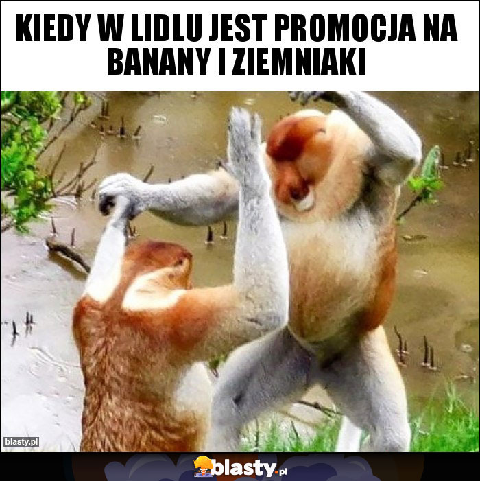 KIedy w lidlu jest promocja na banany i ziemniaki KIedy w lidlu jest promocja na banany i ziemniaki