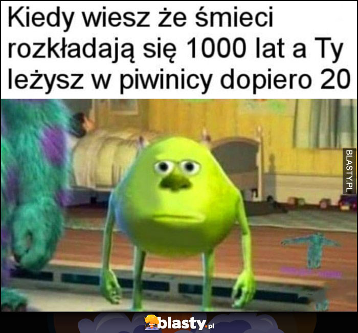 Kiedy wiesz, że śmieci rozkładają się 1000 lat, a Ty leżysz w piwnicy dopiero 20