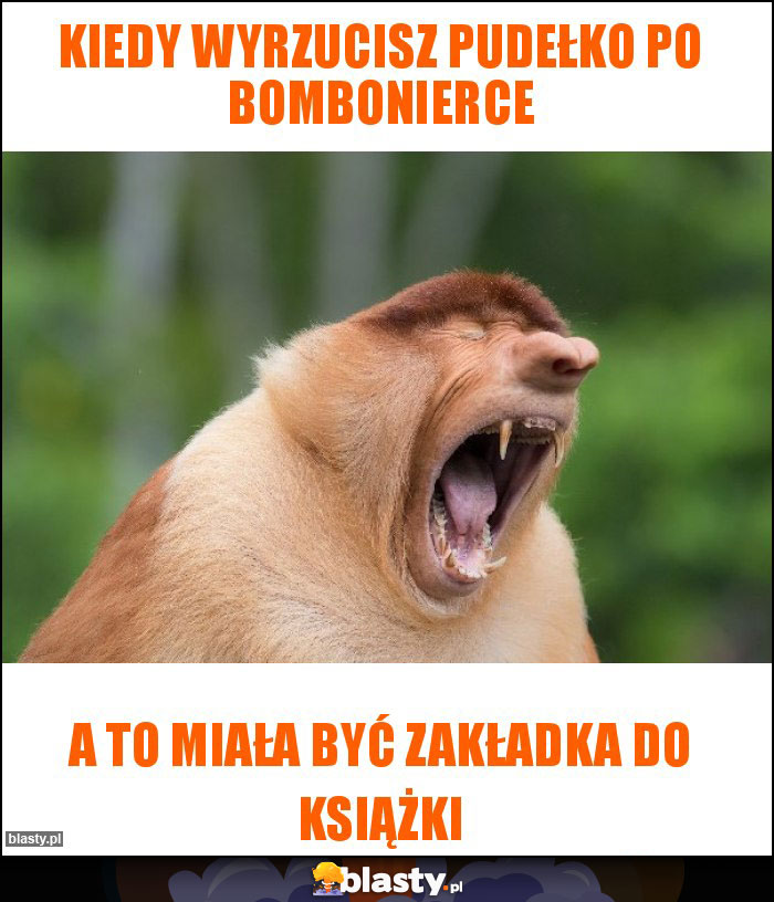 kiedy wyrzucisz pudełko po bombonierce kiedy wyrzucisz pudełko po bombonierce