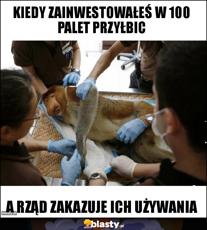 Kiedy zainwestowałeś w 100 palet przyłbic Kiedy zainwestowałeś w 100 palet przyłbic