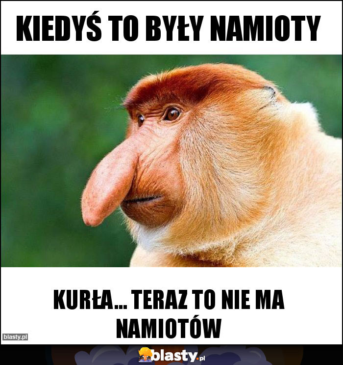 Kiedyś to były namioty
