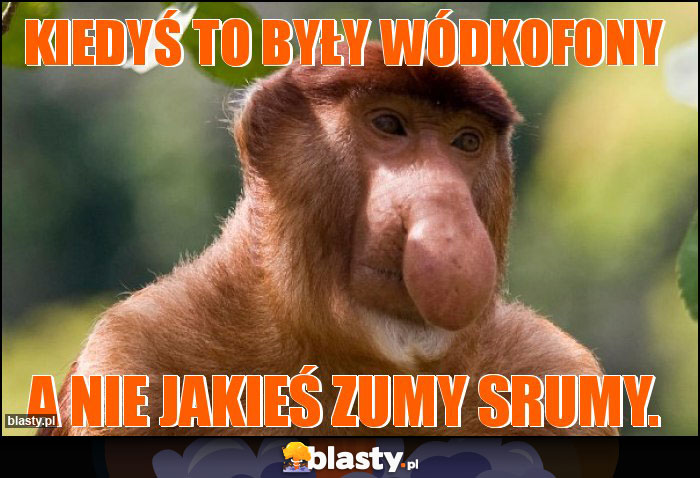 Kiedyś to były wódkofony Kiedyś to były wódkofony
