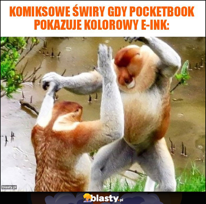 Komiksowe świry gdy pocketbook pokazuje kolorowy e-ink: