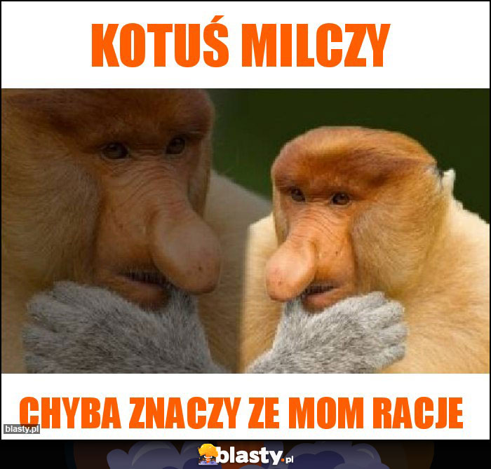Kotuś milczy Kotuś milczy