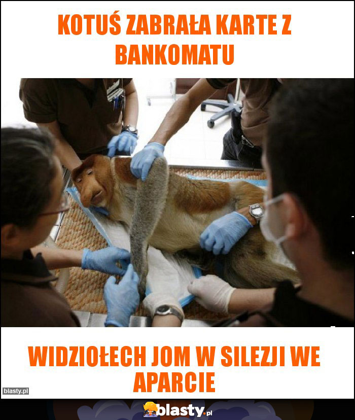 Kotuś zabrała karte z bankomatu Kotuś zabrała karte z bankomatu