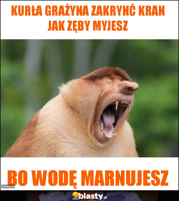 Kurła Grażyna zakrynć kran jak zęby myjesz Kurła Grażyna zakrynć kran jak zęby myjesz