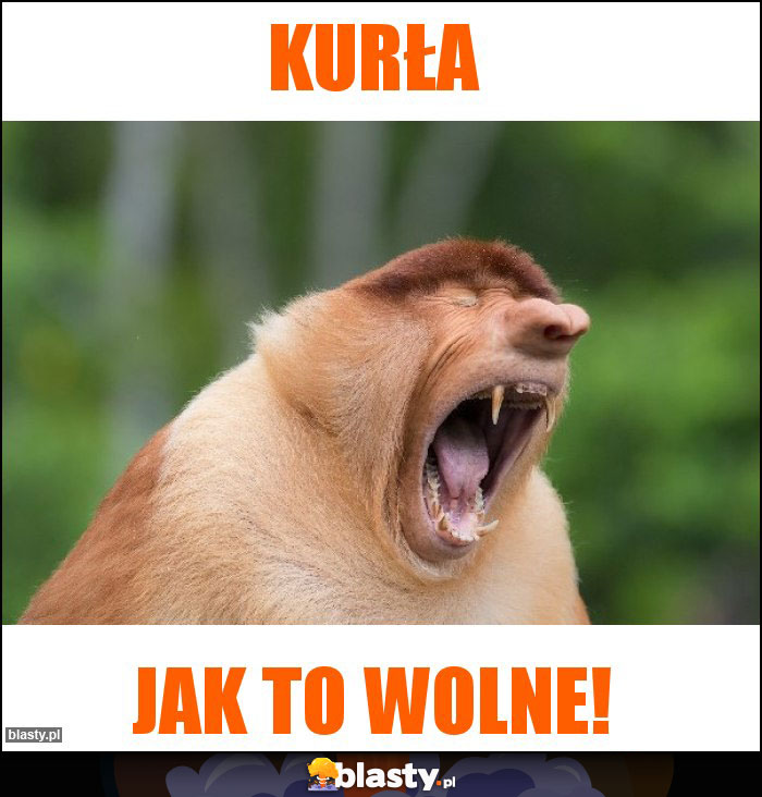 Kurła