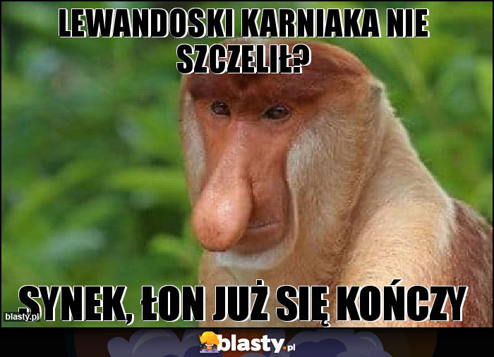 Lewandoski karniaka nie szczelił? Lewandoski karniaka nie szczelił?